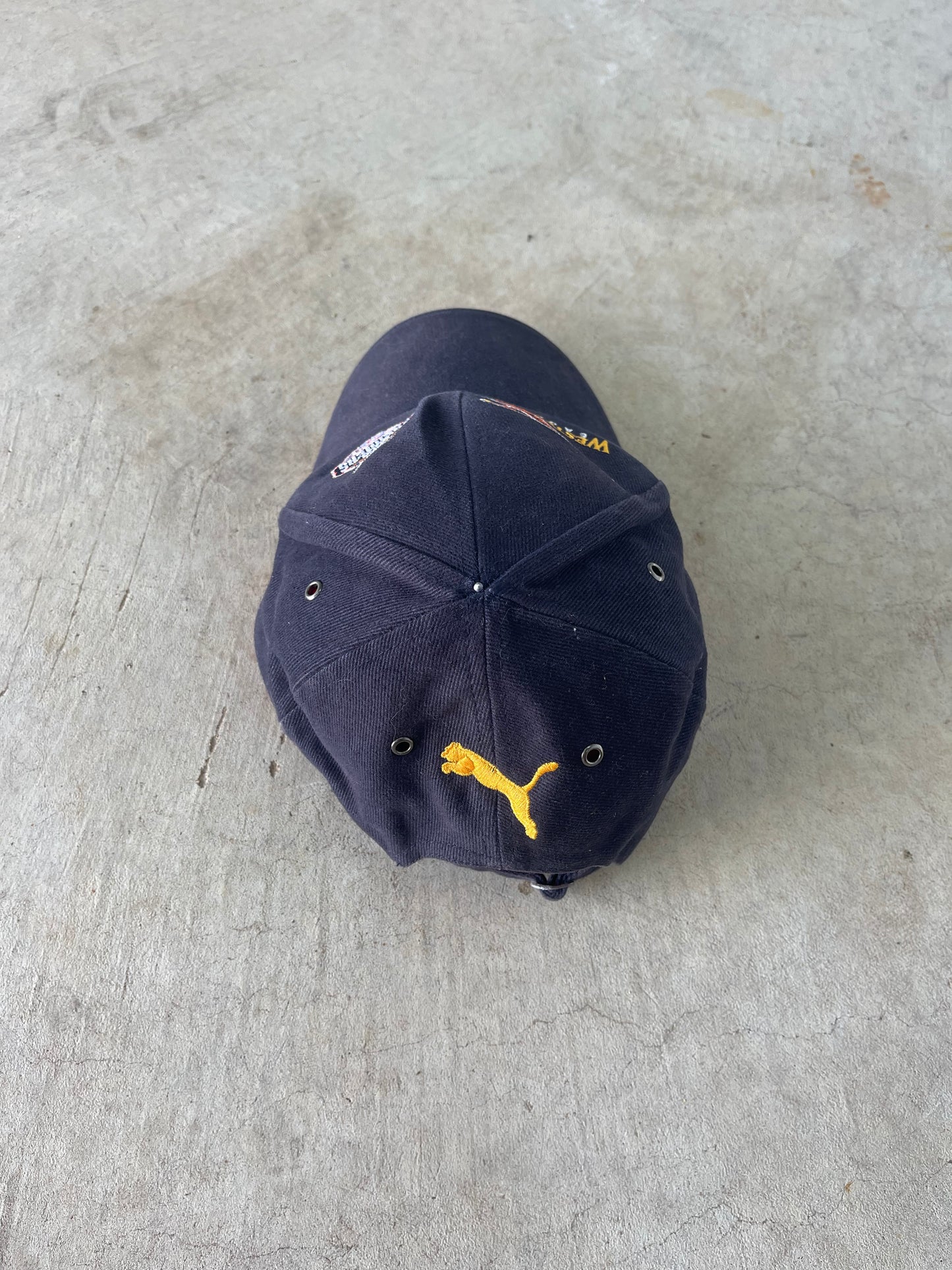 2005 West Coast Eagles Puma Premiership Hat (OSFA)
