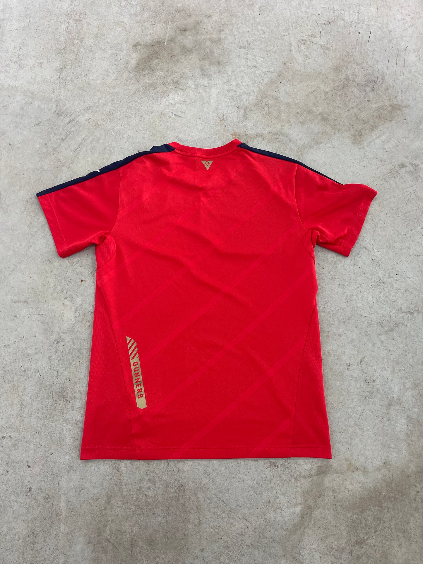 Puma Arsenal Jersey (L)